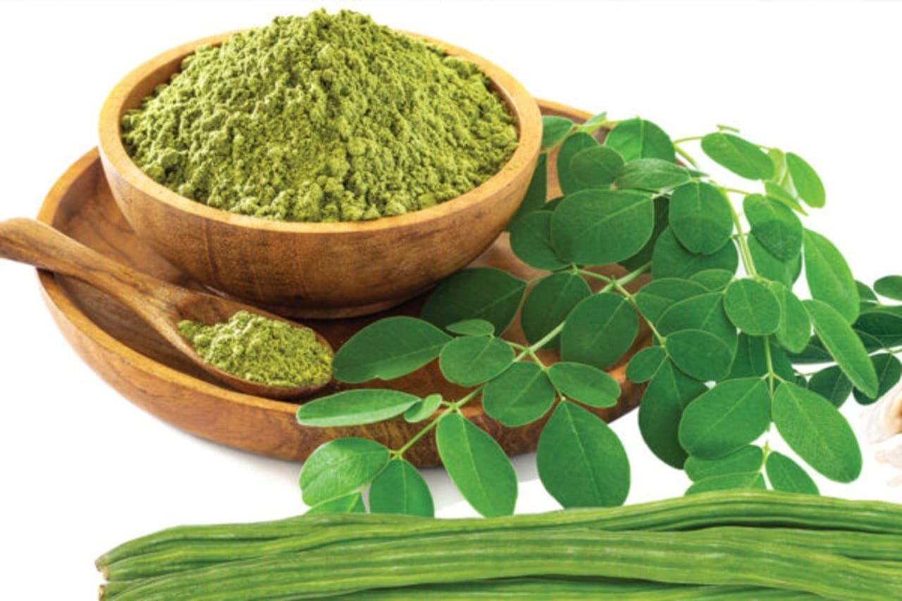 Herbal powder — moringa powder